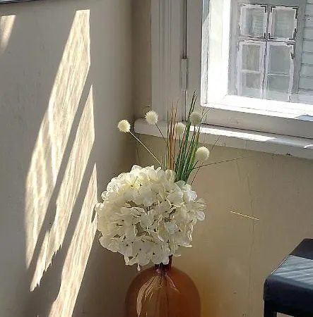 Lossikambri Külaliskorterid