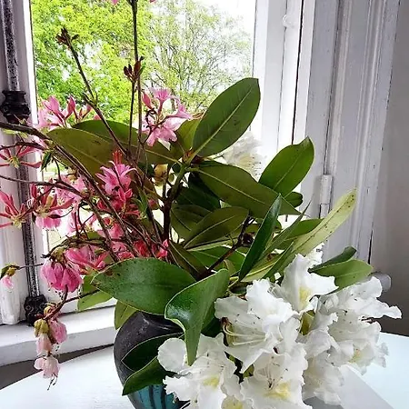 Lossikambri Külaliskorterid