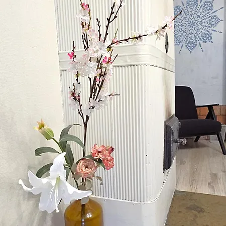 Lossikambri Külaliskorterid