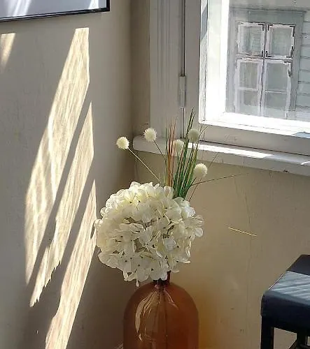 Lossikambri Kuelaliskorterid