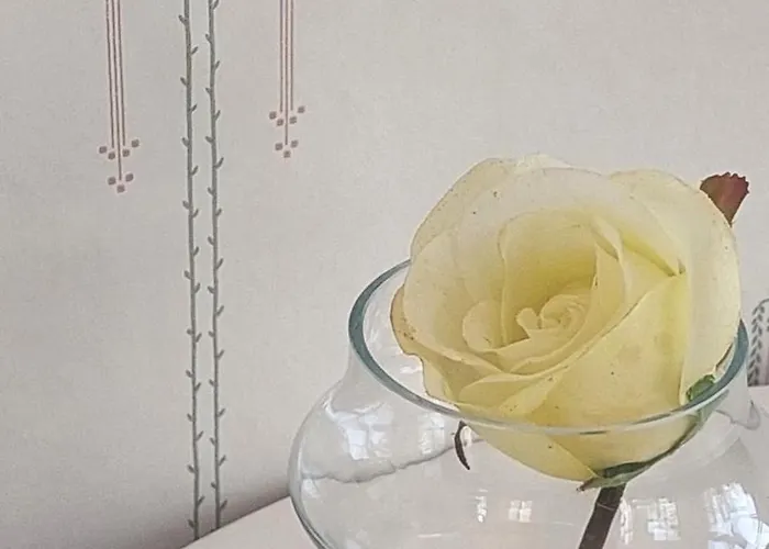 Apartament Lossikambri Kuelaliskorterid Viljandi (Viljandimaa)