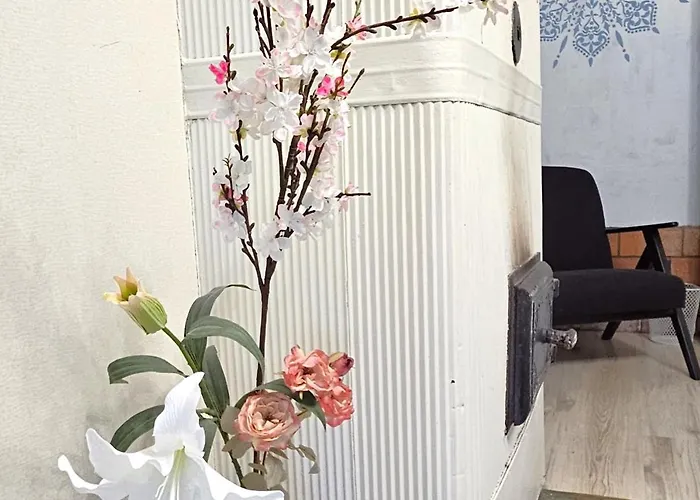 Lossikambri Kuelaliskorterid